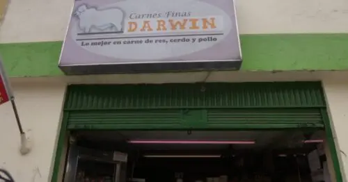 CARNES FINAS DARWIN BOGOTÁ CARNES FINAS DARWIN BOGOTÁ